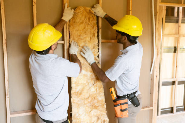 Best Insulation Replacement Services  in Bay Springs, MS